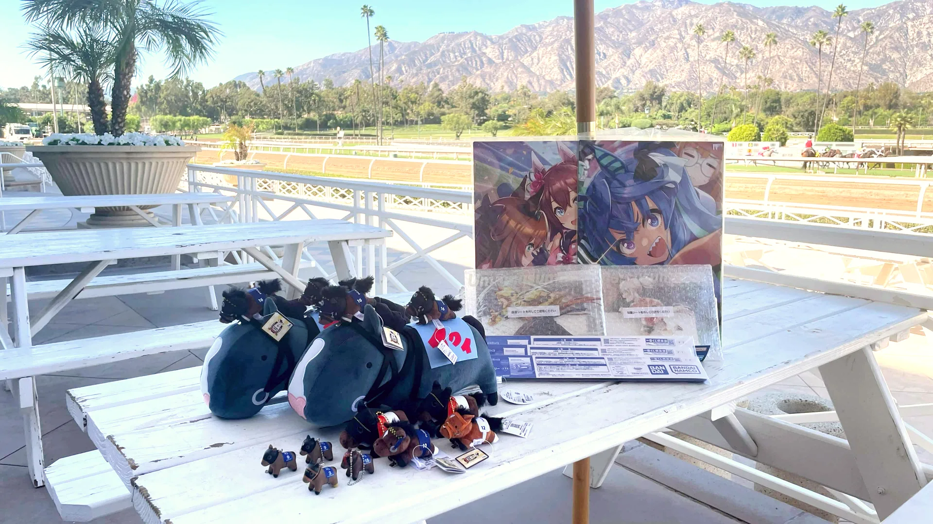Prizes provided by Paper Cola