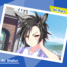 Air Race