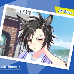 Air Race