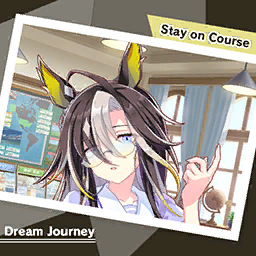 Stay on Course