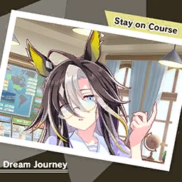 Stay on Course