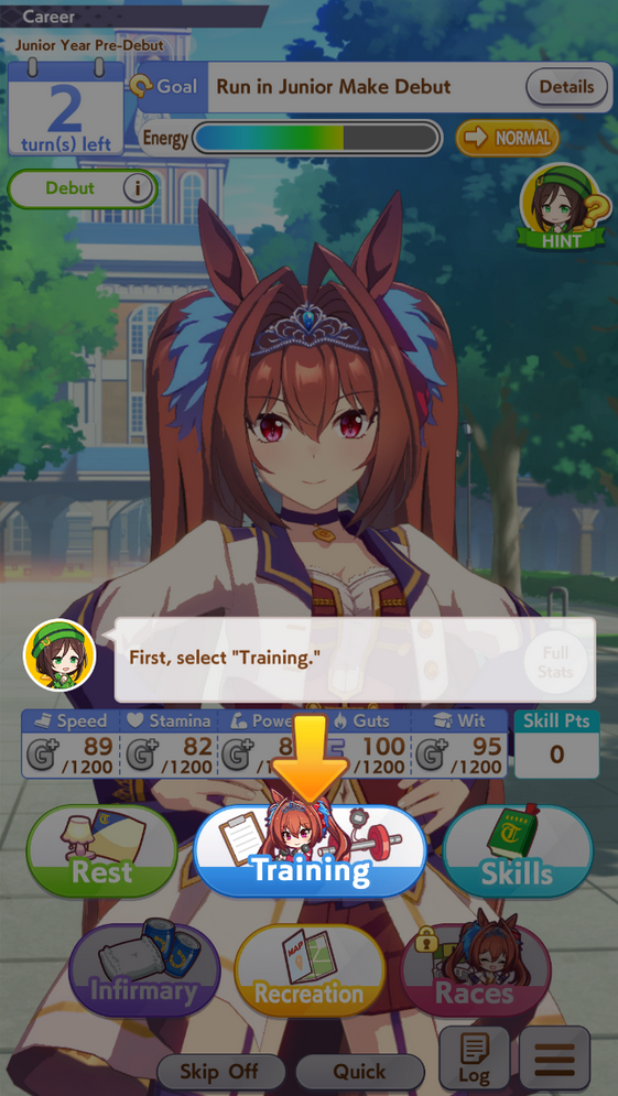 The Career User Interface