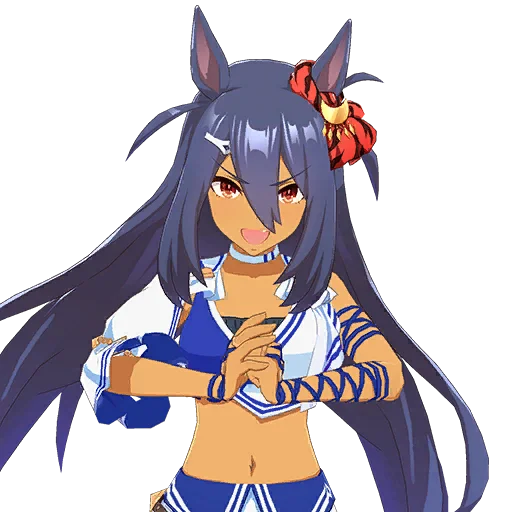 Hishi Amazon